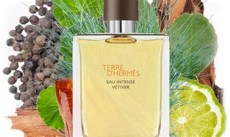 best vetiver perfume